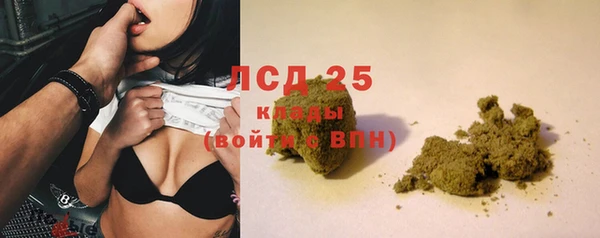 стафф Аркадак