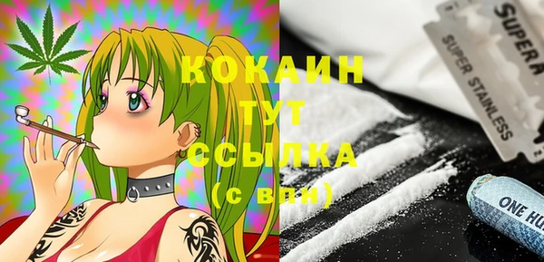 стафф Аркадак