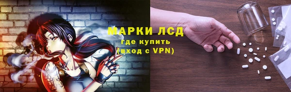 стафф Аркадак
